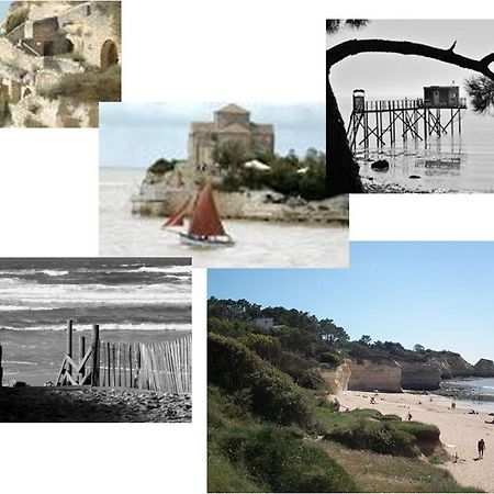 Chambre d'hôtes le Berceau Meschers-sur-Gironde Extérieur photo